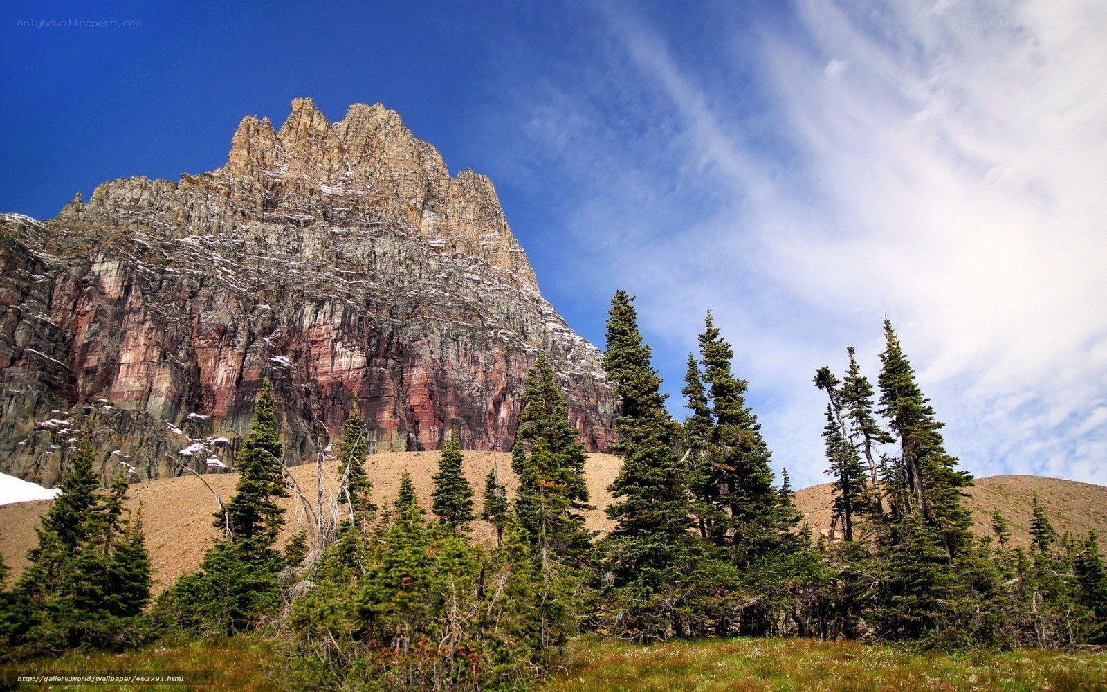 Mountain peak with evergreen trees