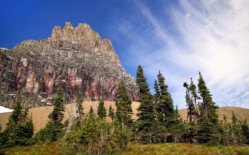 Mountain peak with evergreen trees