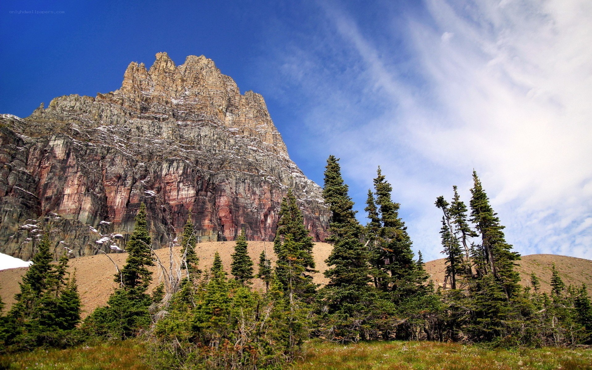 Mountain peak with evergreen trees
