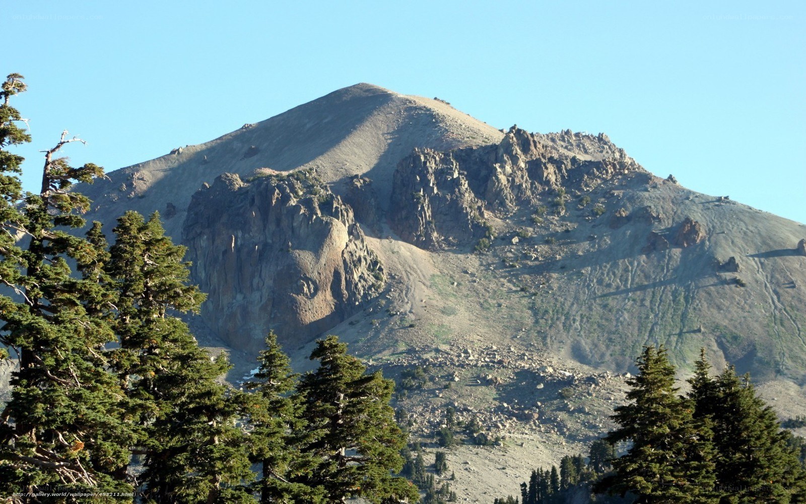 mountain peak with evergreen trees