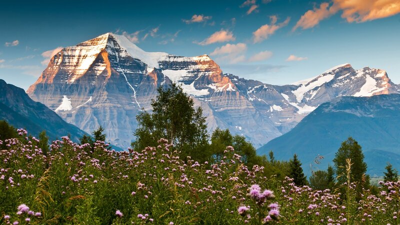 Mountain Peak with Flowers — Blue, Serene, Afternoon