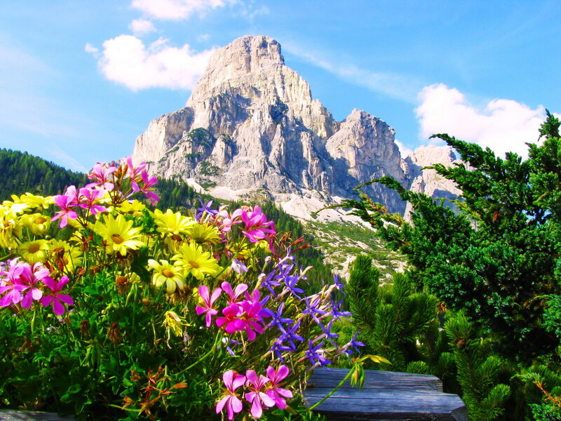 Mountain Peak with Flowers — Blue, Serene