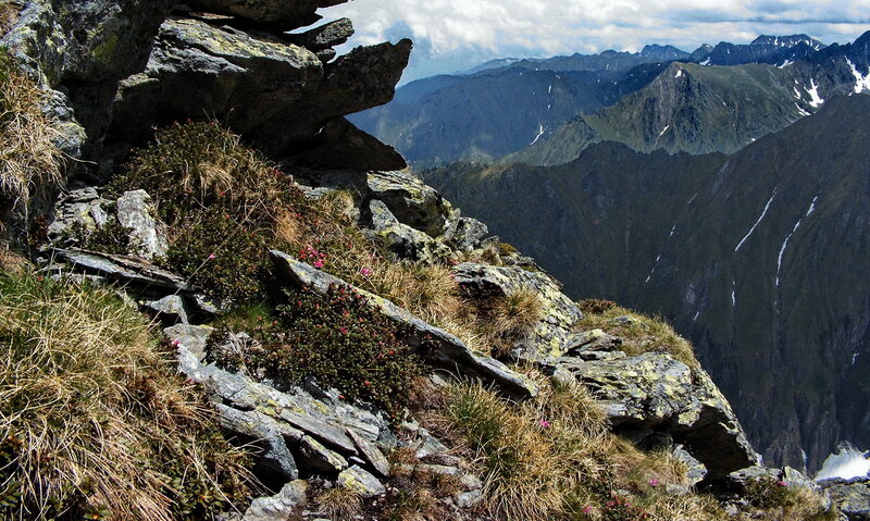 Mountain Peak with Flowers — Green, Dramatic