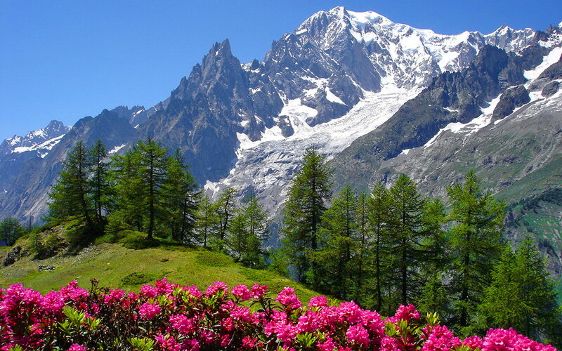 Mountain Peak with Flowers — Pink