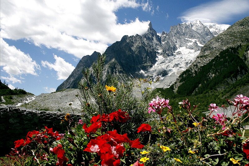 Mountain Peak with Flowers — Red