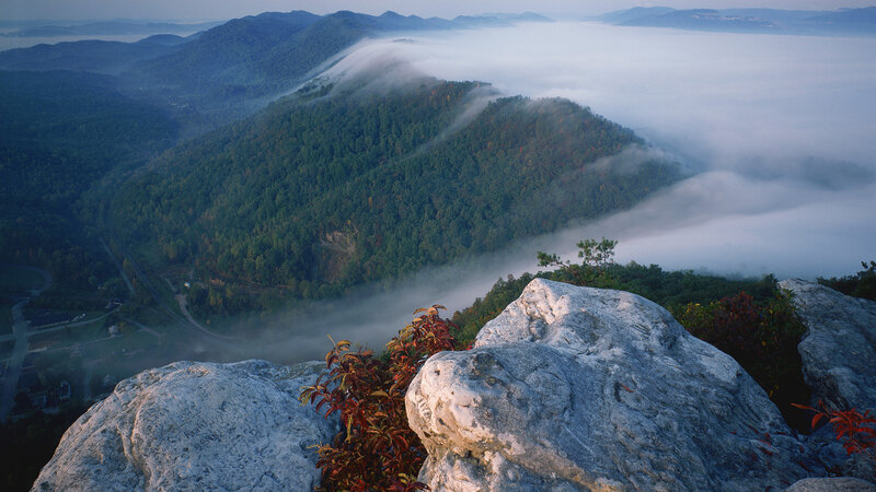 Mountain Peak with Fog — Green