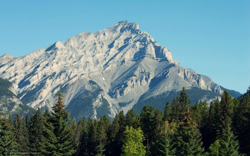 Mountain peak with forest