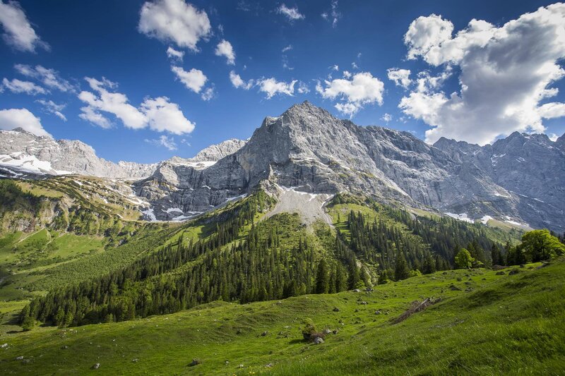 Mountain Peak with Forest — Blue, Serene, Afternoon, Photograph, Clouds