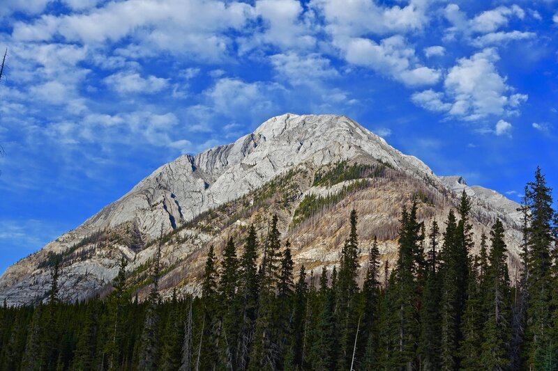 Mountain Peak with Forest — Blue, Serene, Afternoon, Photograph, Trees
