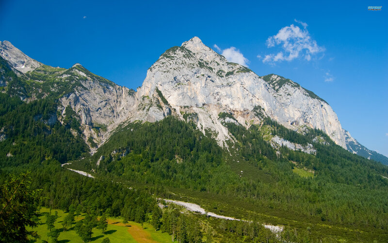 Mountain Peak with Forest — Blue, Serene, Afternoon