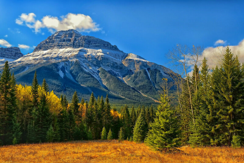 Mountain Peak with Forest — Blue, Serene, Autumn