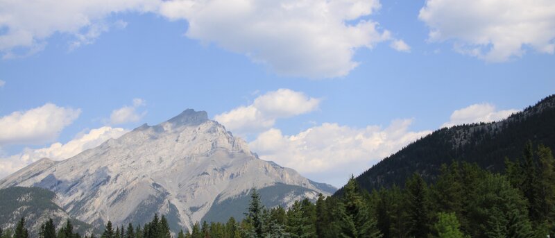 Mountain Peak with Forest — Blue