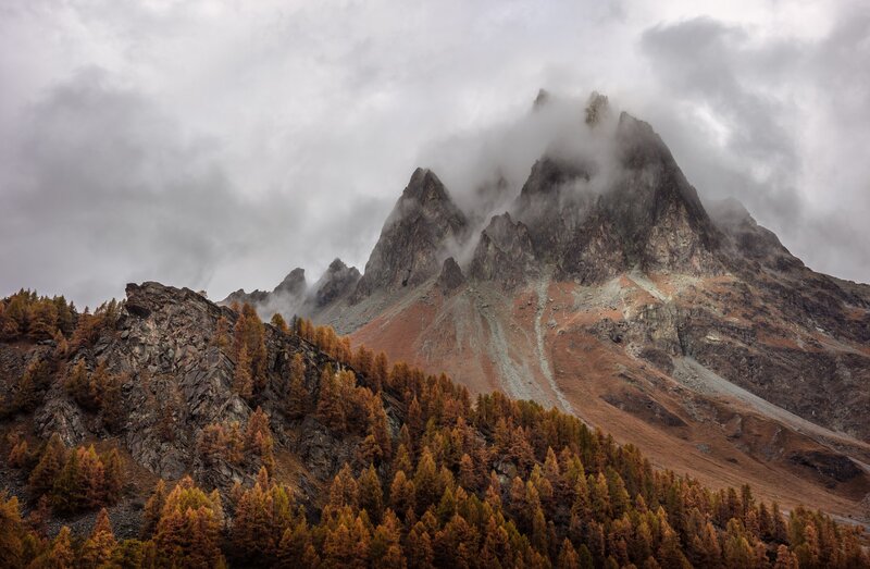 Mountain Peak with Forest — Brown