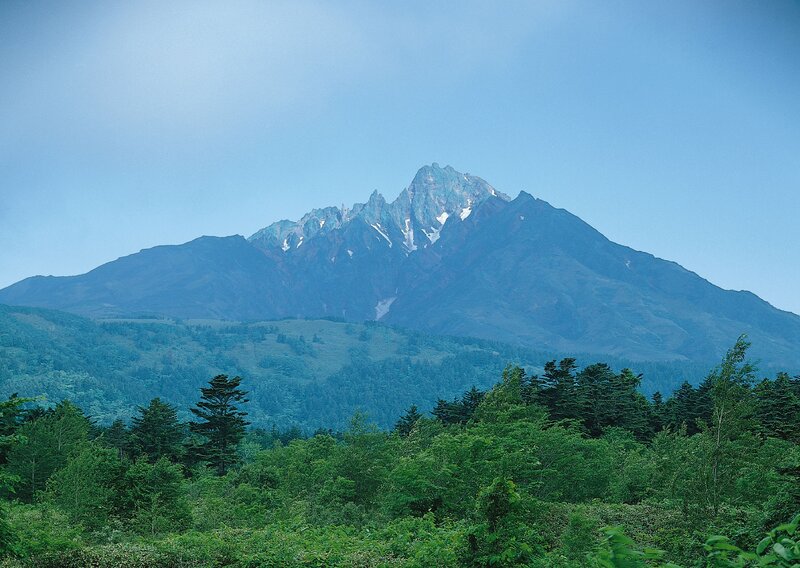Mountain peak with forest foreground