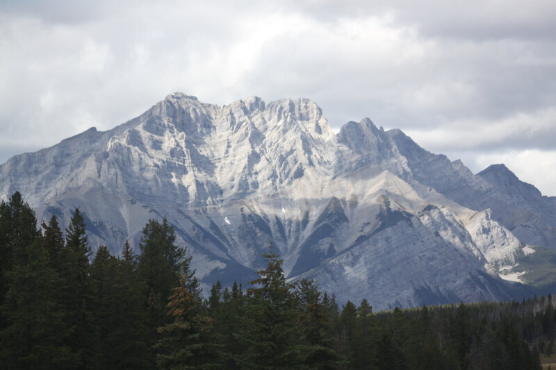 Mountain Peak with Forest — Gray