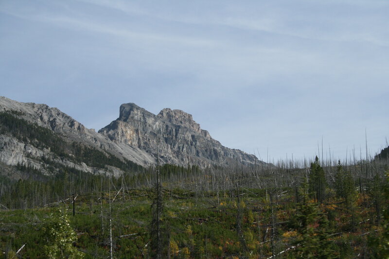 Mountain Peak with Forest — Green, Serene, Afternoon