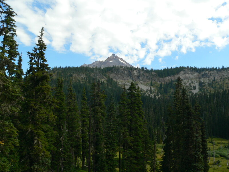 Mountain Peak with Forest — Green, Serene