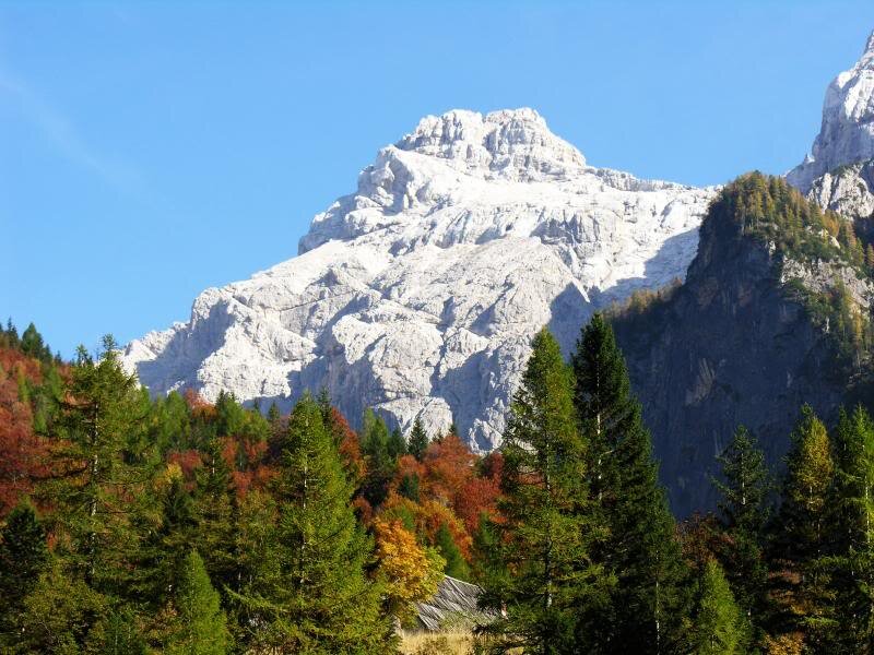 Mountain Peak with Forest — Green