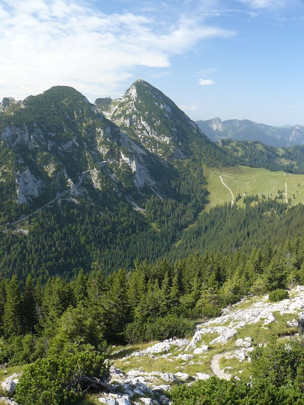 Mountain peak with forest valley