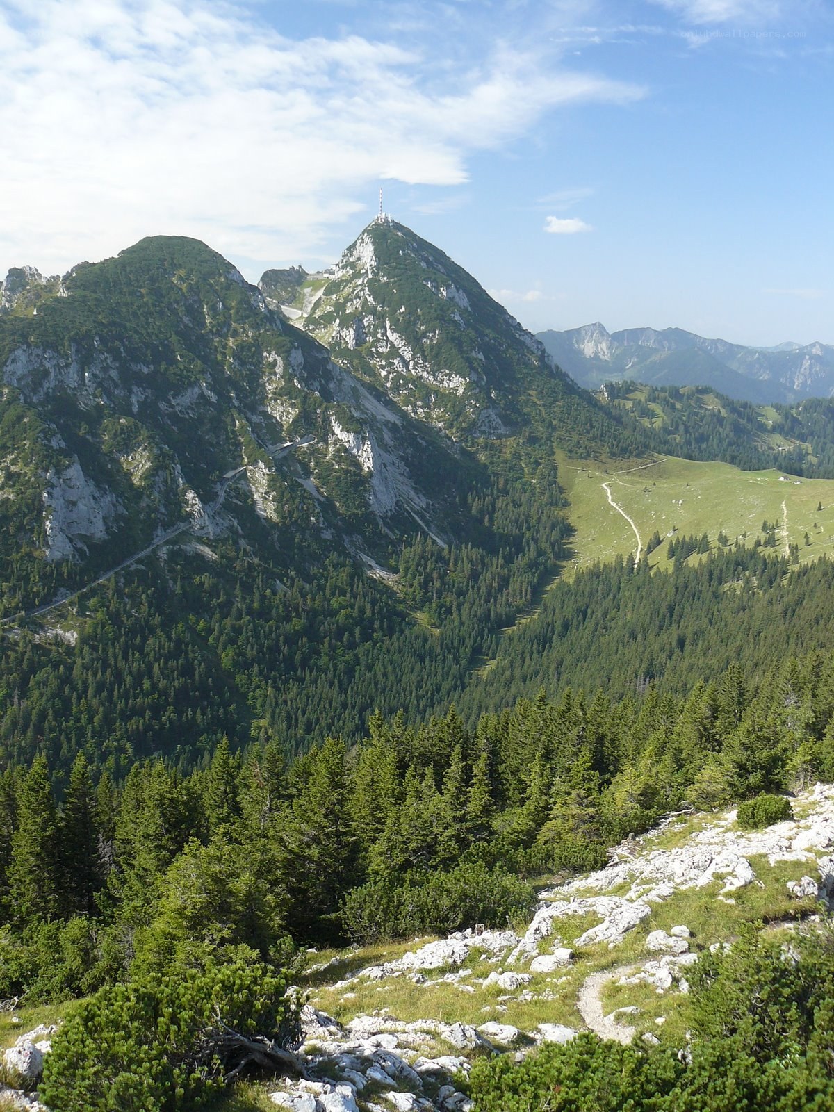 Mountain peak with forest valley
