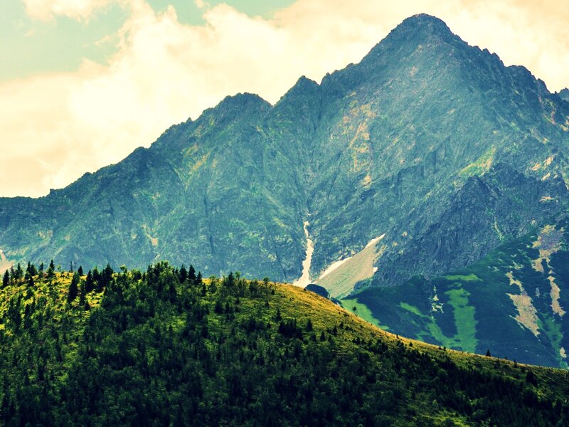 Mountain peak with forested hill