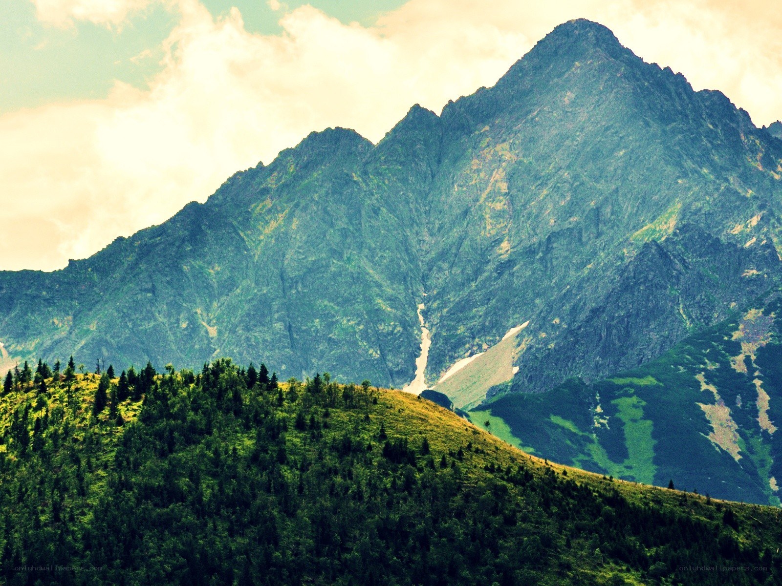 Mountain peak with forested hill