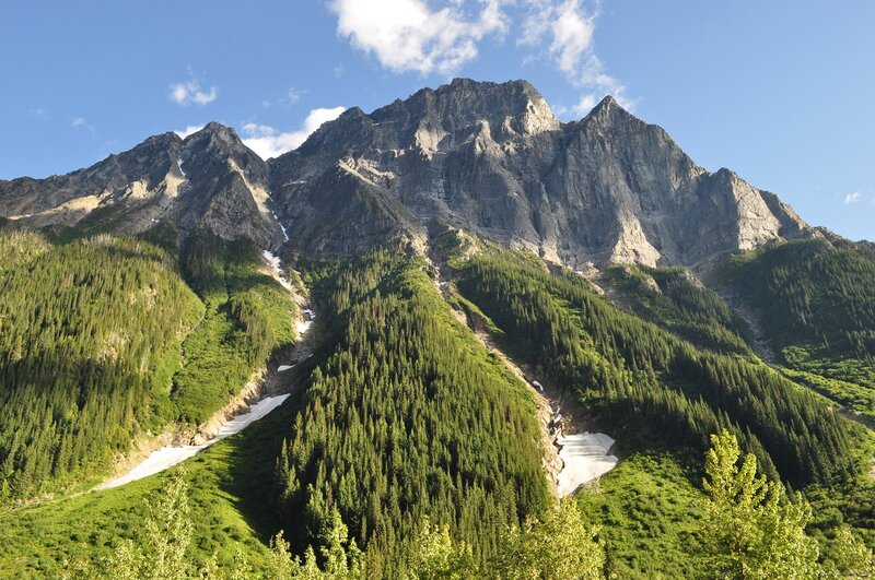 Mountain peak with forested slopes
