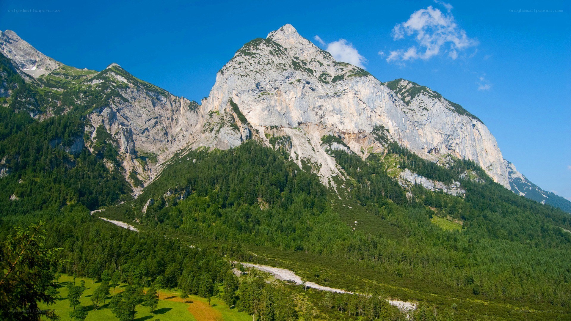 Mountain peak with forested slopes