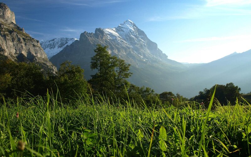 Mountain peak with green grass