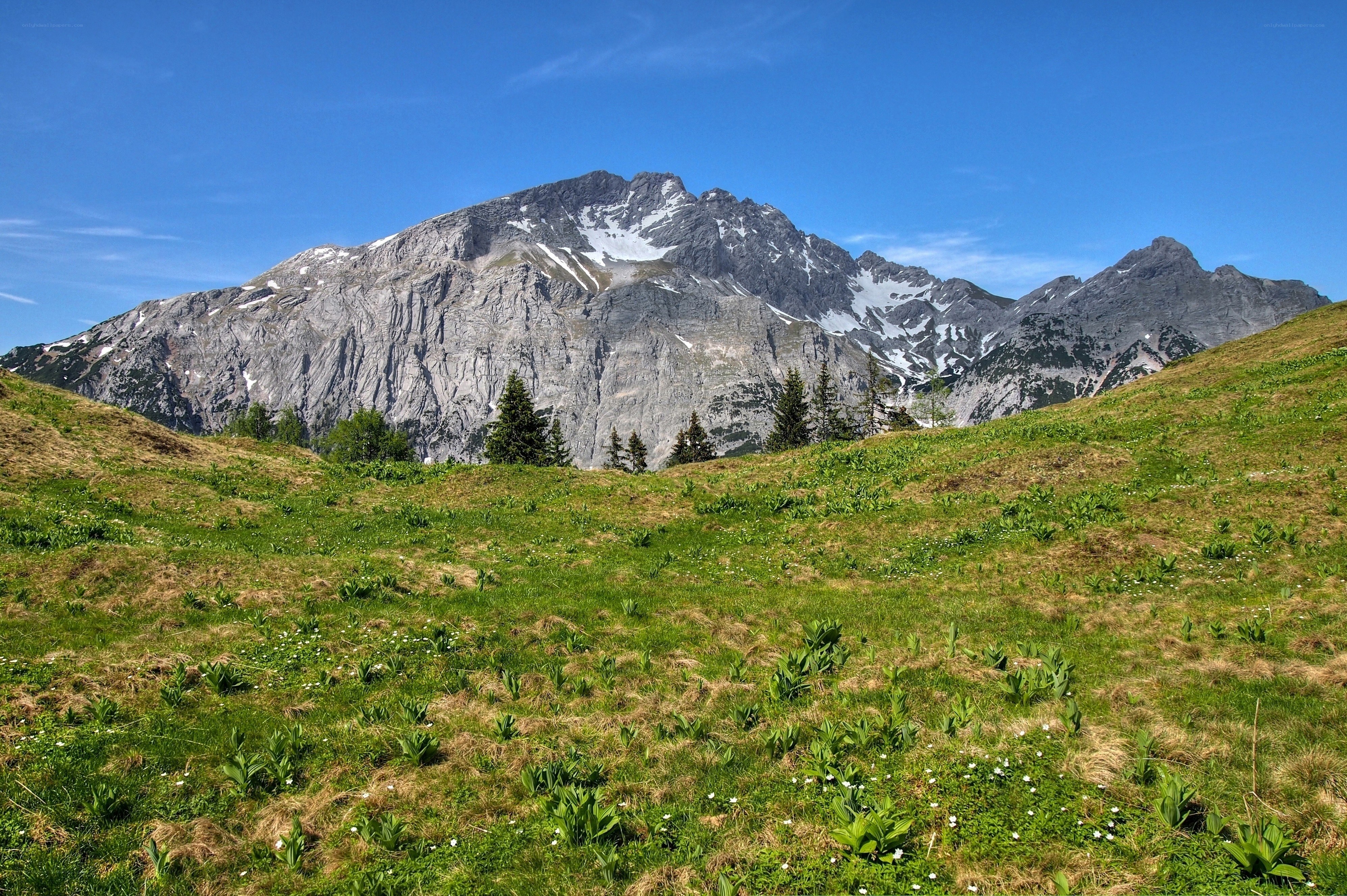 Mountain peak with green meadow