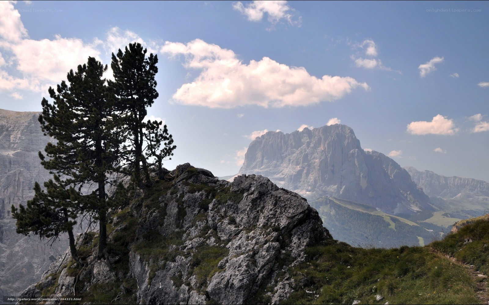 Mountain peak with pine trees