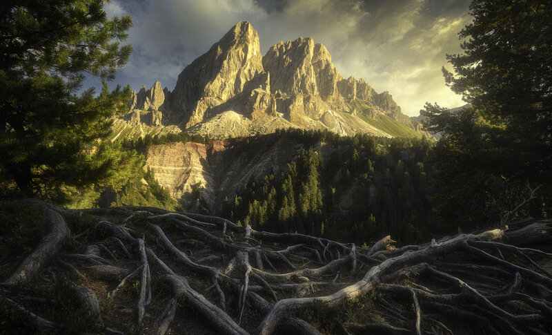 Mountain Peak with Roots