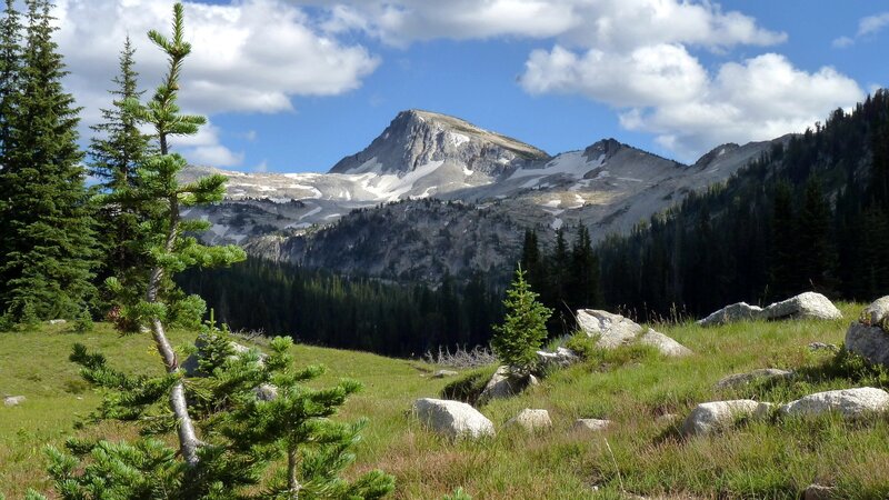 Mountain peak with snow and forest