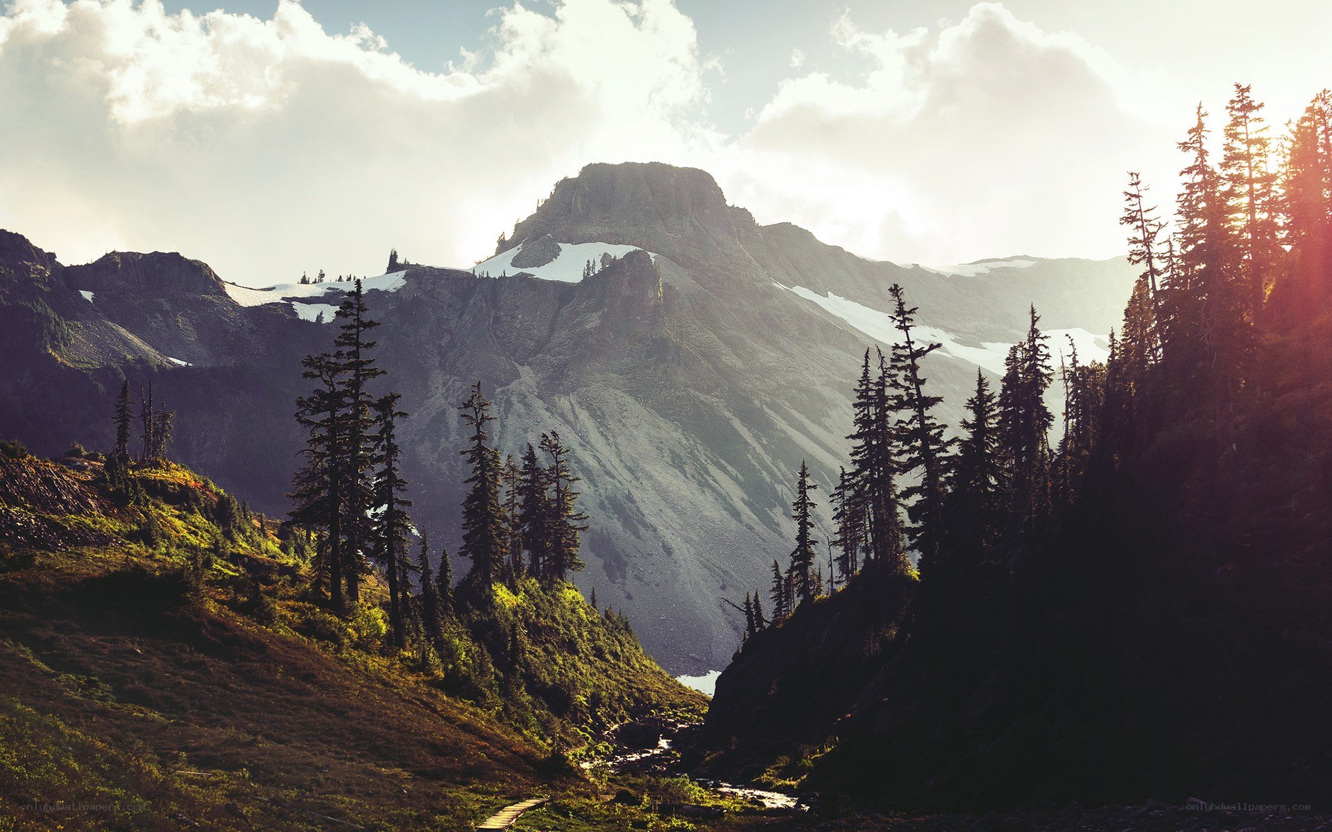 Mountain peak with snow and forest