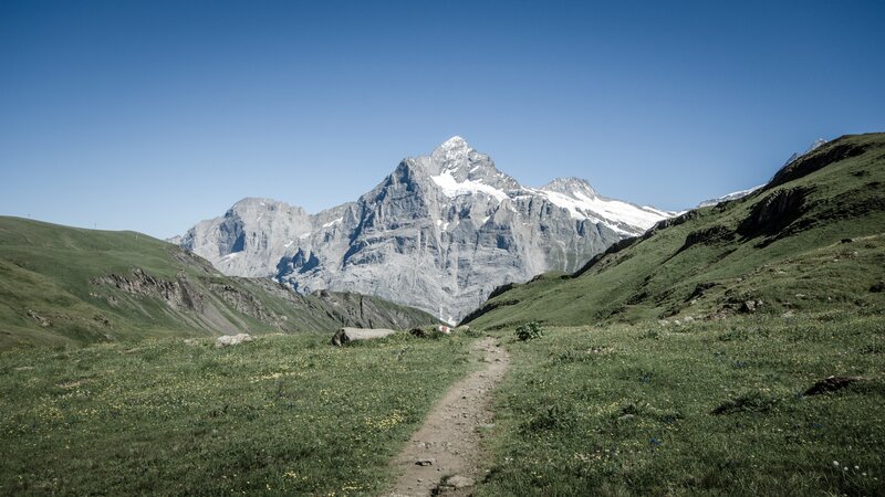 Mountain Peak with Trail — Green