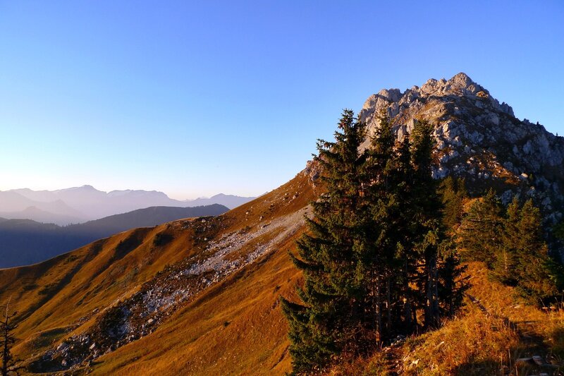 Mountain Peak with Trees — Blue, Serene