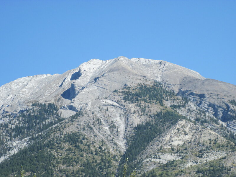 Mountain Peak with Trees — Blue