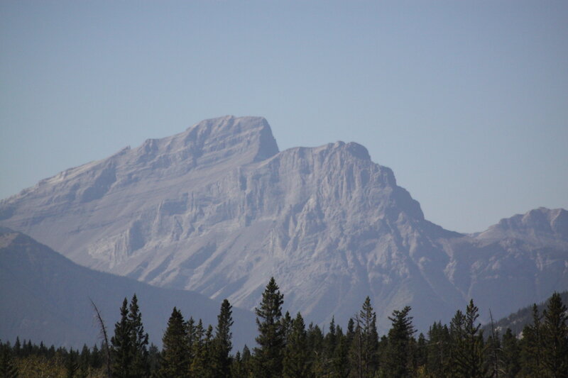 Mountain Peak with Trees — Gray, Serene