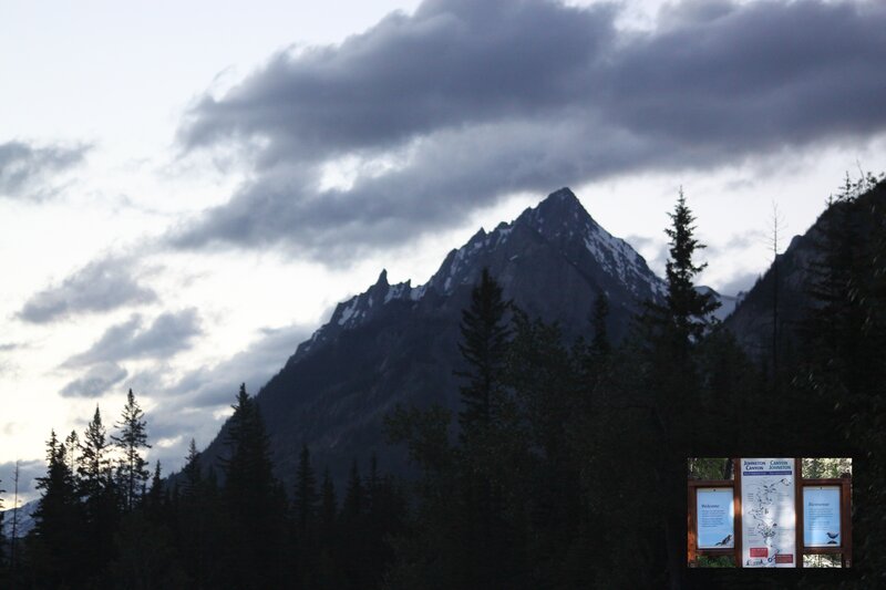 Mountain Peak with Trees — Gray