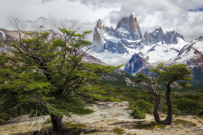 Mountain Peak with Trees — Green, Dramatic, Photograph