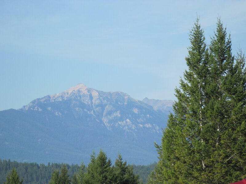 Mountain Peak with Trees — Green, Serene, Afternoon