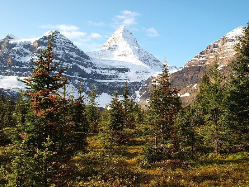 Mountain Peak with Trees — Green, Serene