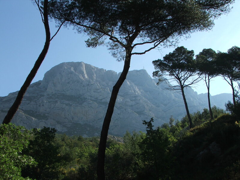 Mountain Peak with Trees