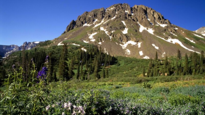 Mountain peak with wildflowers
