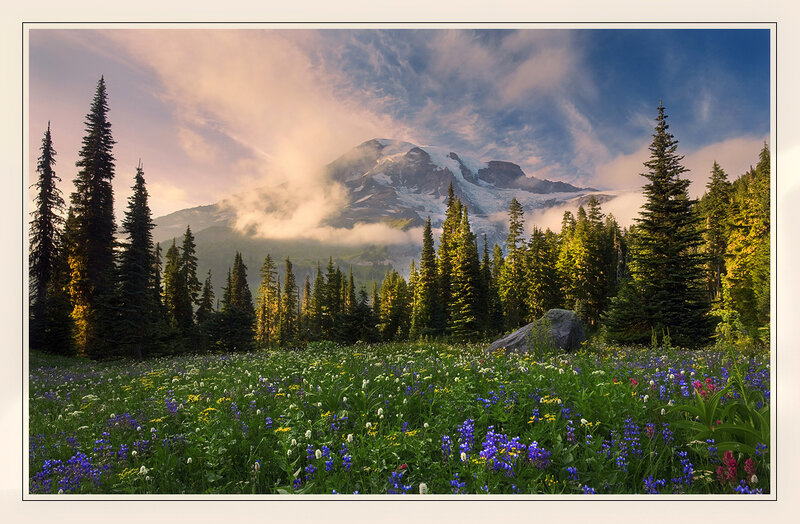 Mountain peak with wildflowers
