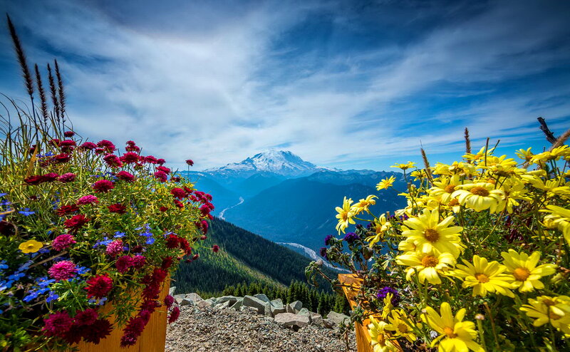 Mountain Peak with Wildflowers — Blue
