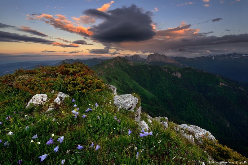 Mountain Peak with Wildflowers — Green, Dramatic