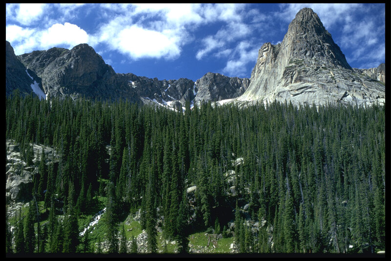 Mountain peaks above a forest