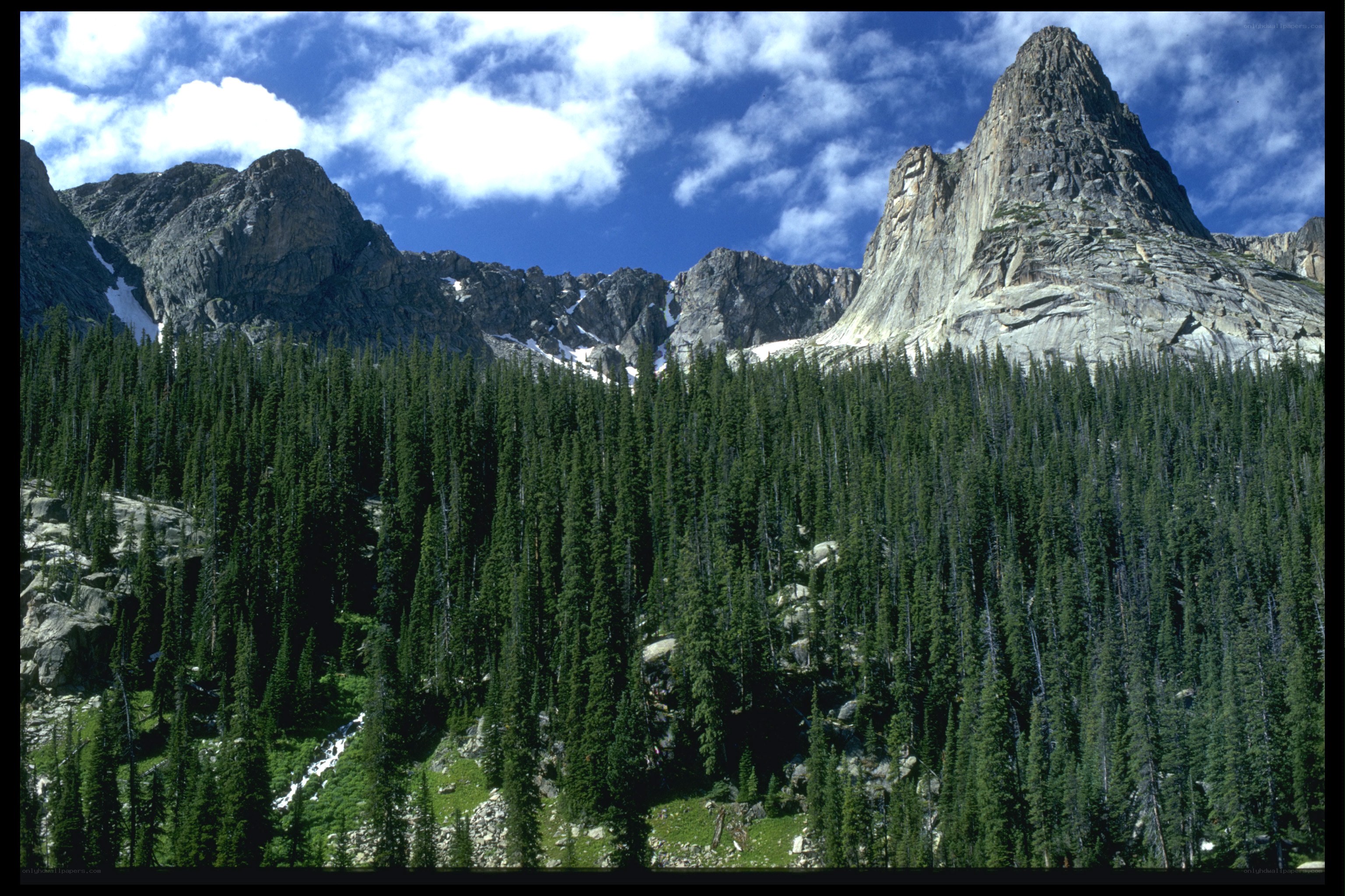 Mountain peaks above a forest
