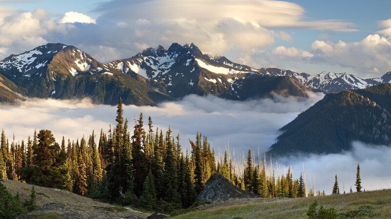 Mountain peaks above a sea of clouds
